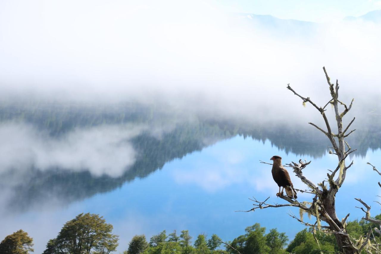 Hermoso Eco Lodge San Martín de los Andes Eksteriør billede