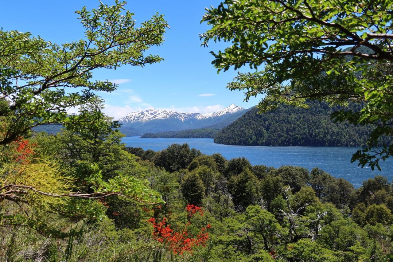 Hermoso Eco Lodge San Martín de los Andes Eksteriør billede