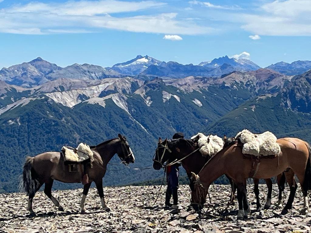 Hermoso Eco Lodge San Martín de los Andes Eksteriør billede